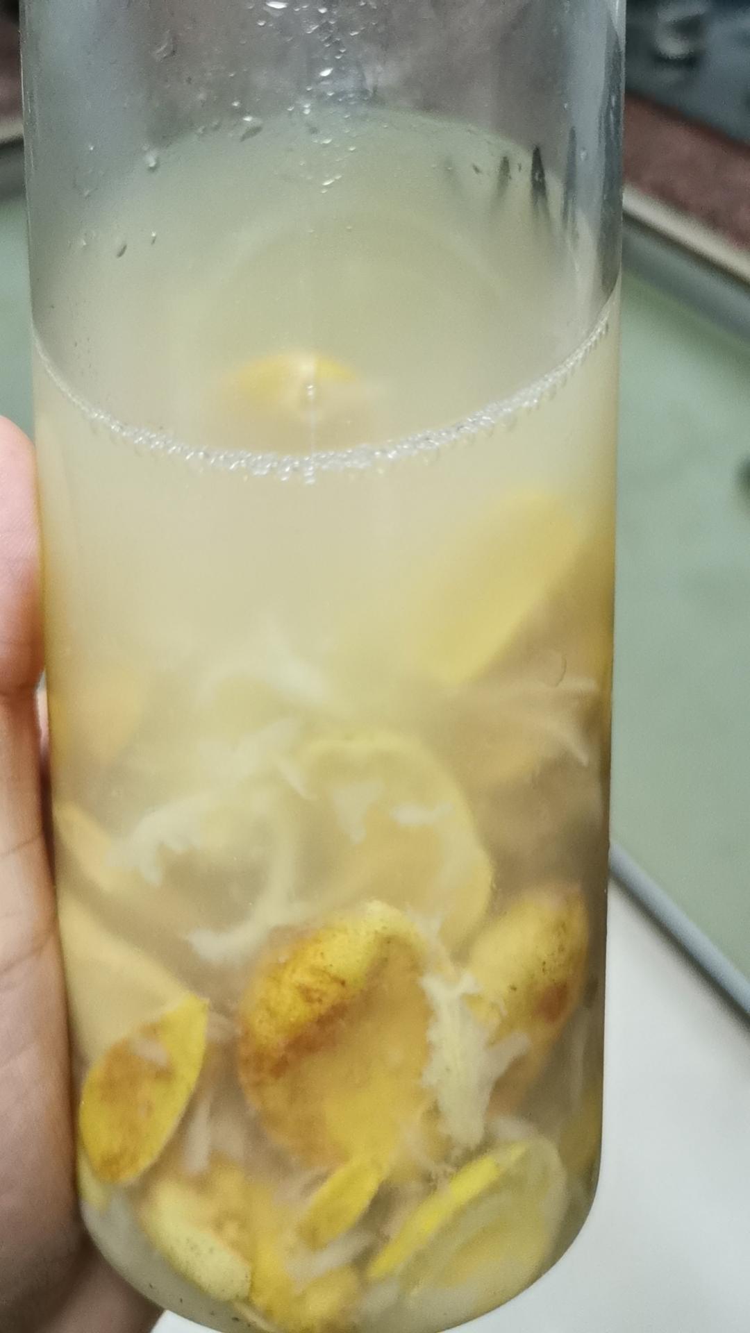 老盐果汁系列之老盐黄皮水