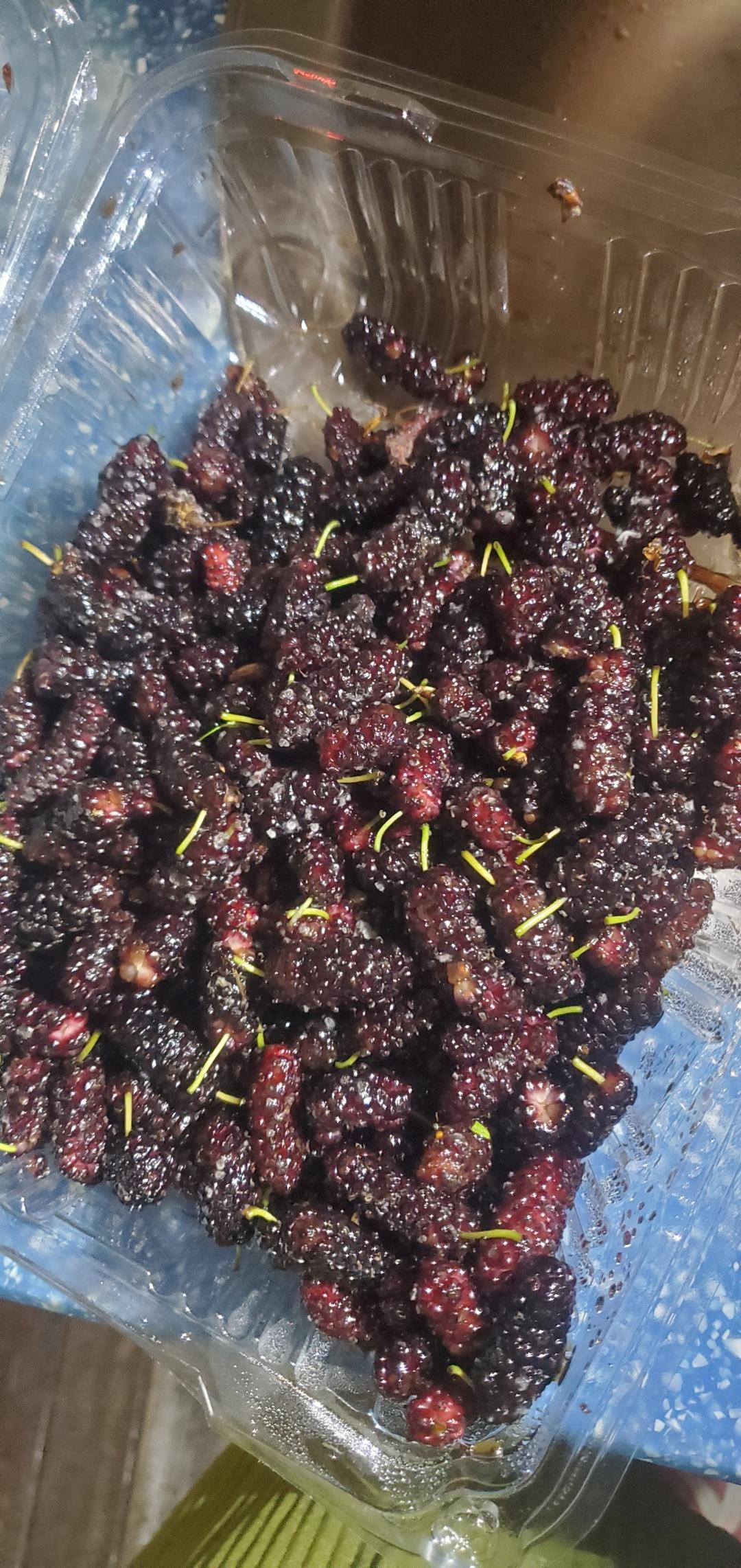 爱尝鲜的蔬果宇宙