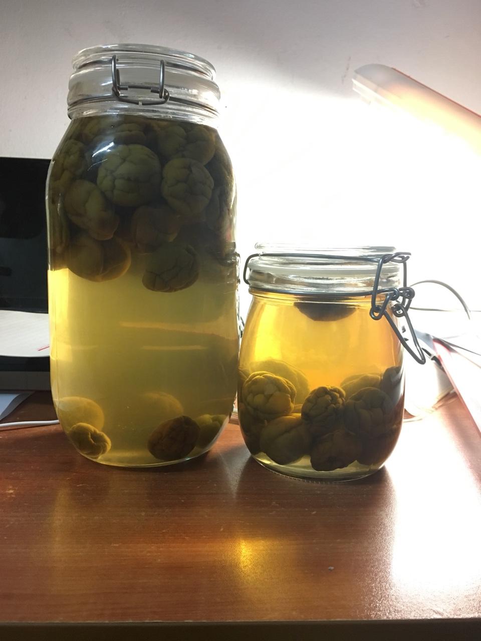 【青梅酒】梅子的沉醉时光（已填坑）