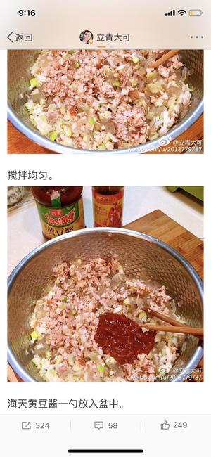 酸菜卤肉蒸饺/立青大可的做法 步骤4