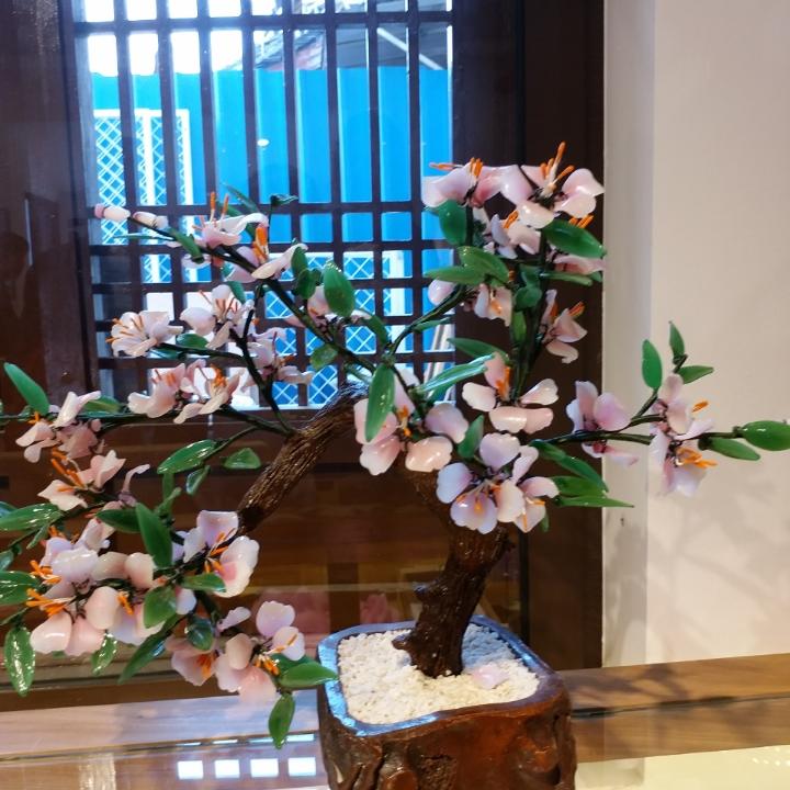 孙树红