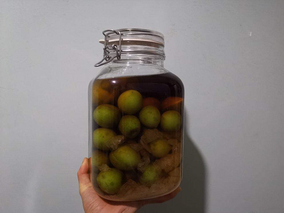 【青梅酒】梅子的沉醉时光（已填坑）