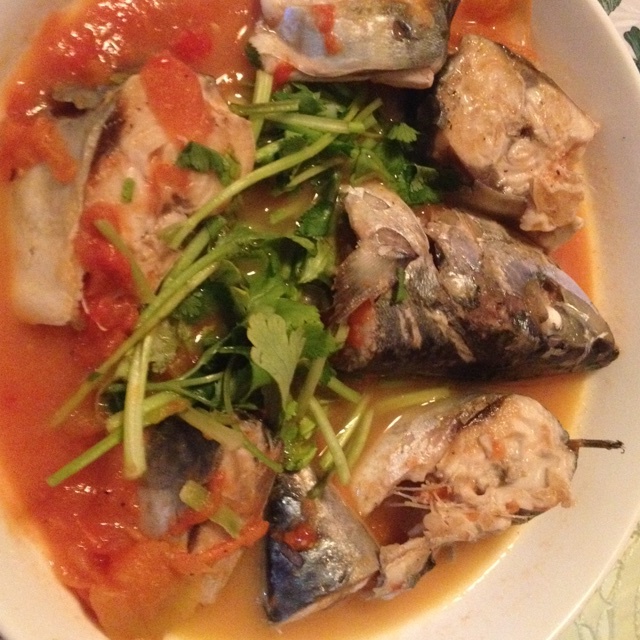 番茄炖鲅鱼（马鲛鱼）