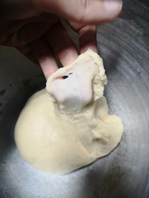 简单快手一次发酵酸奶小面包的做法 步骤4