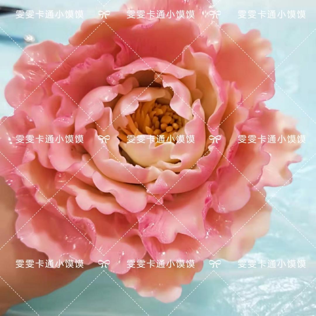 雯1802
