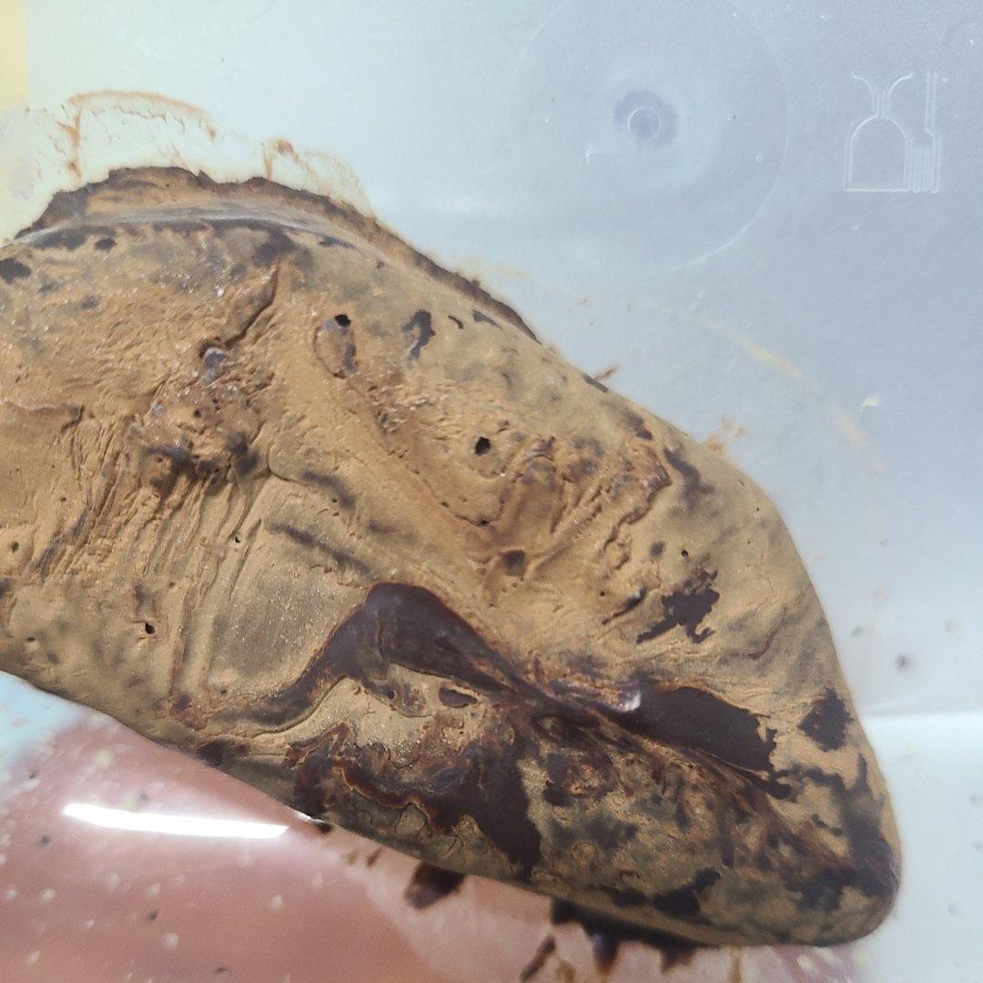 可可液块做牛奶巧克力/黑巧克力