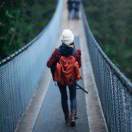 美丽金金小厨娘