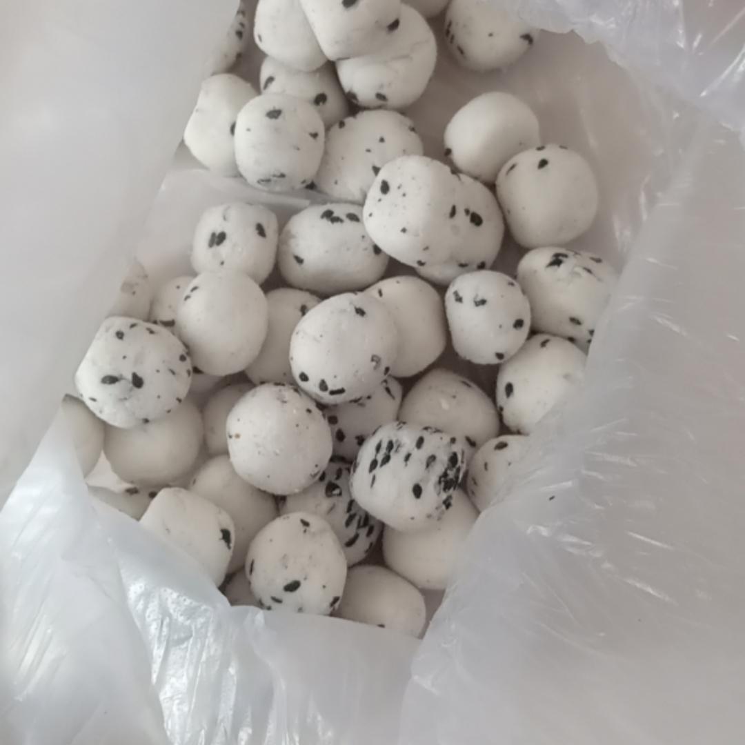 猫恋美食