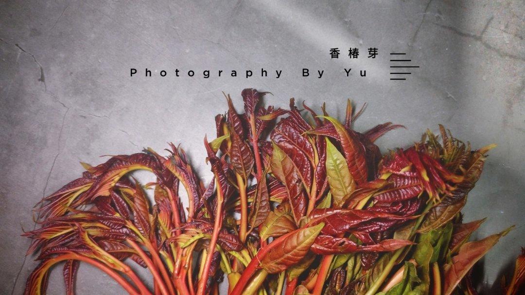 【香椿】三月必吃野味，错过要等2020年了！
