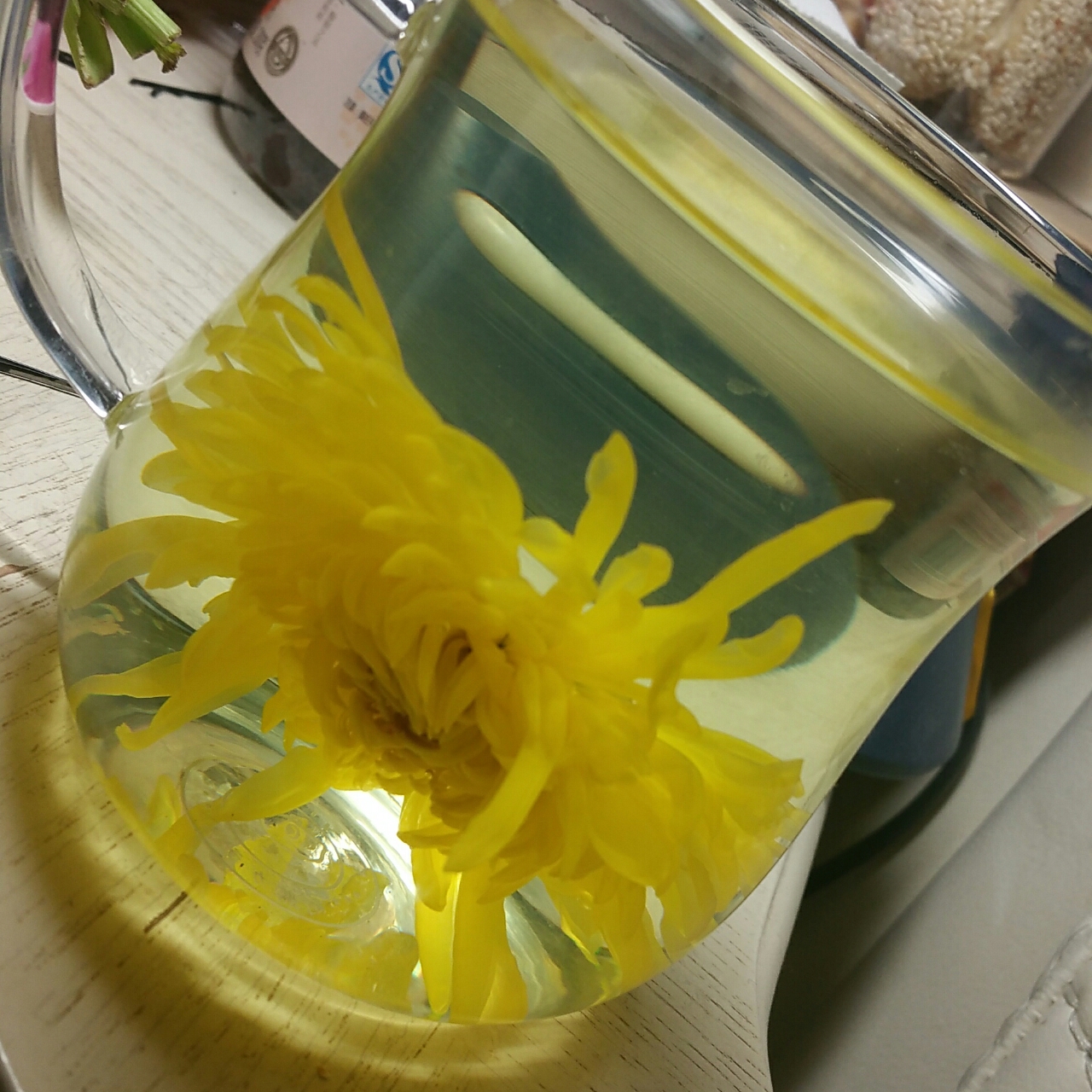 菊花茶_金丝皇菊