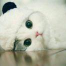 Sanny晴