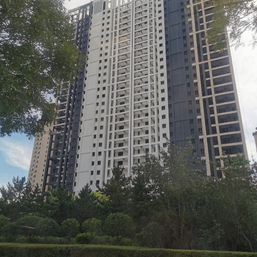 爱吃白菜的小脑袋