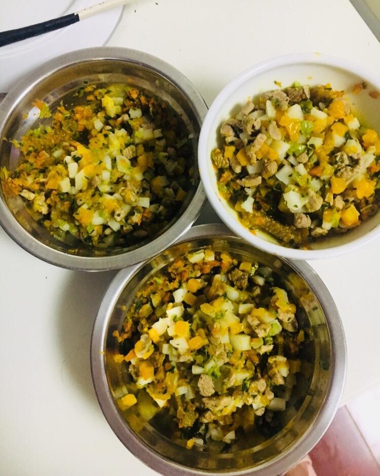 狗狗鲜食——色彩的密码