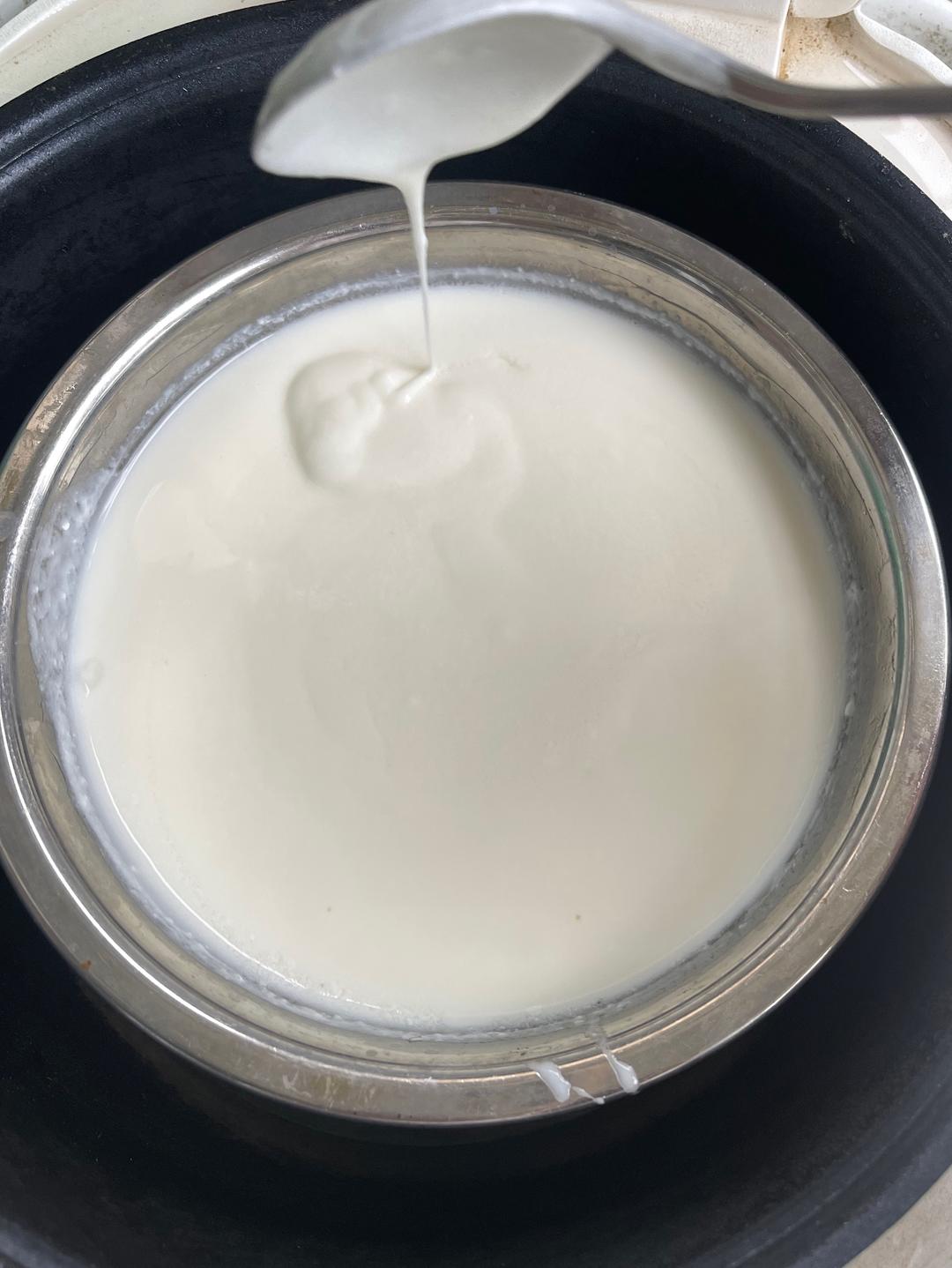 电饭锅自制香浓酸奶