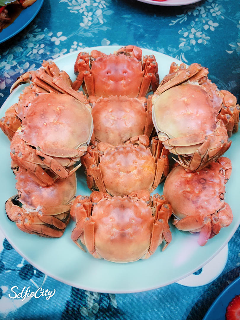 春滴味道   苜蓿饺子🥟