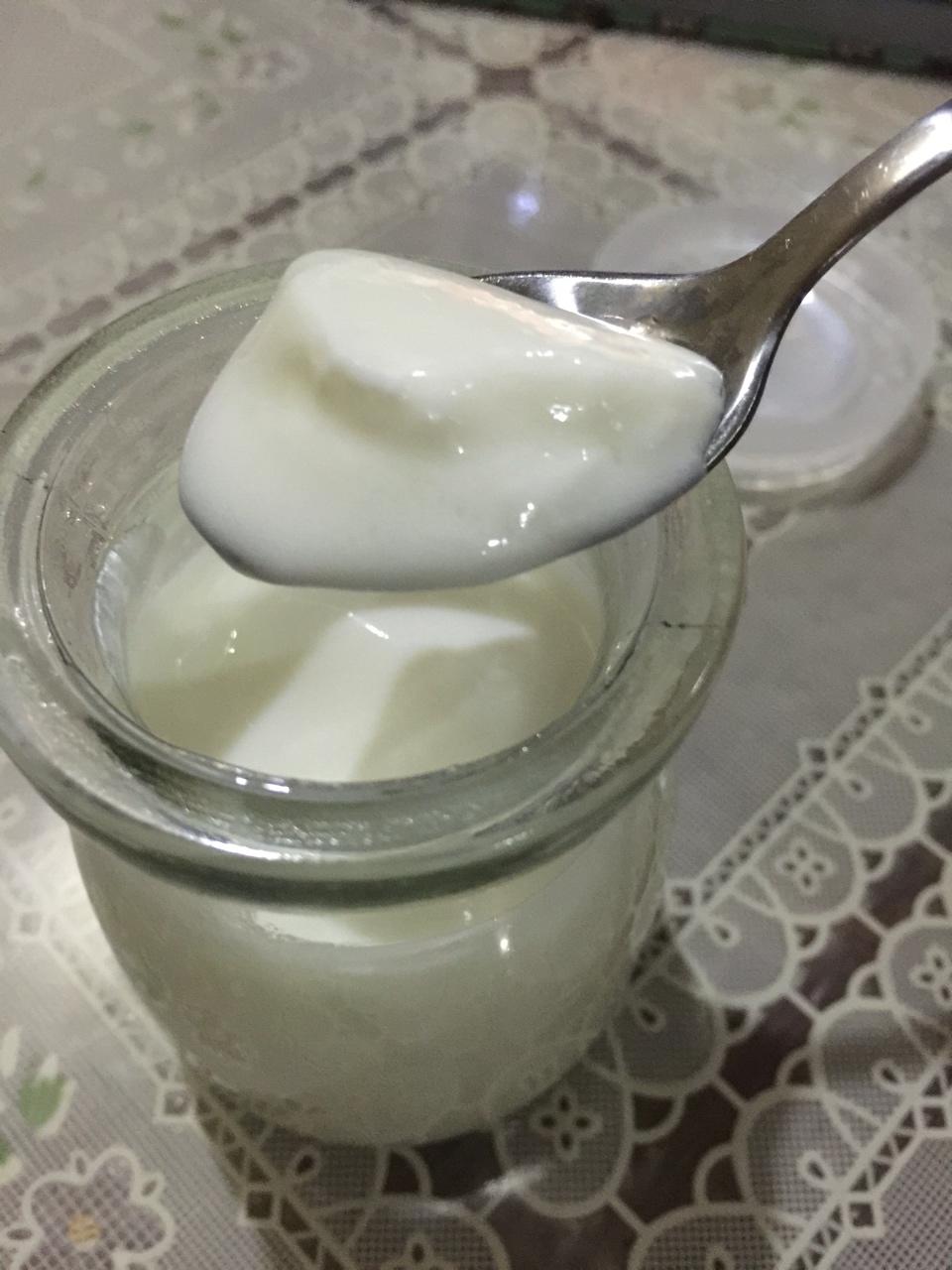 无需酸奶机的自制酸奶