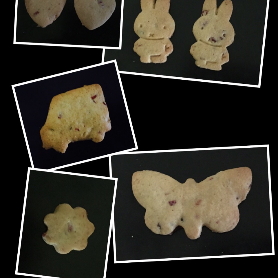 仿Barilla家的饼干Macine