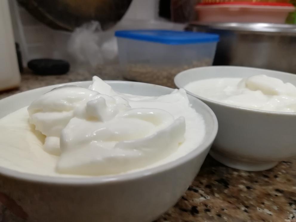 酸奶盖双皮奶的做法