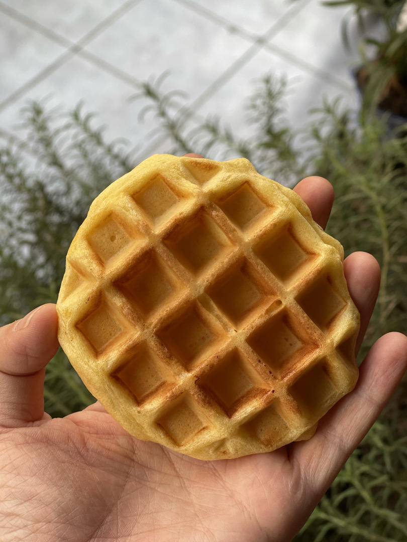 9升烤箱的食物探索