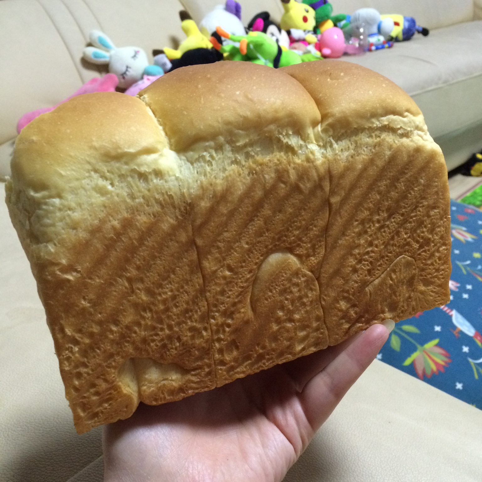 夺命软吐司(๑´ڡ`๑)超软拉丝极速方便的一次发酵吐司