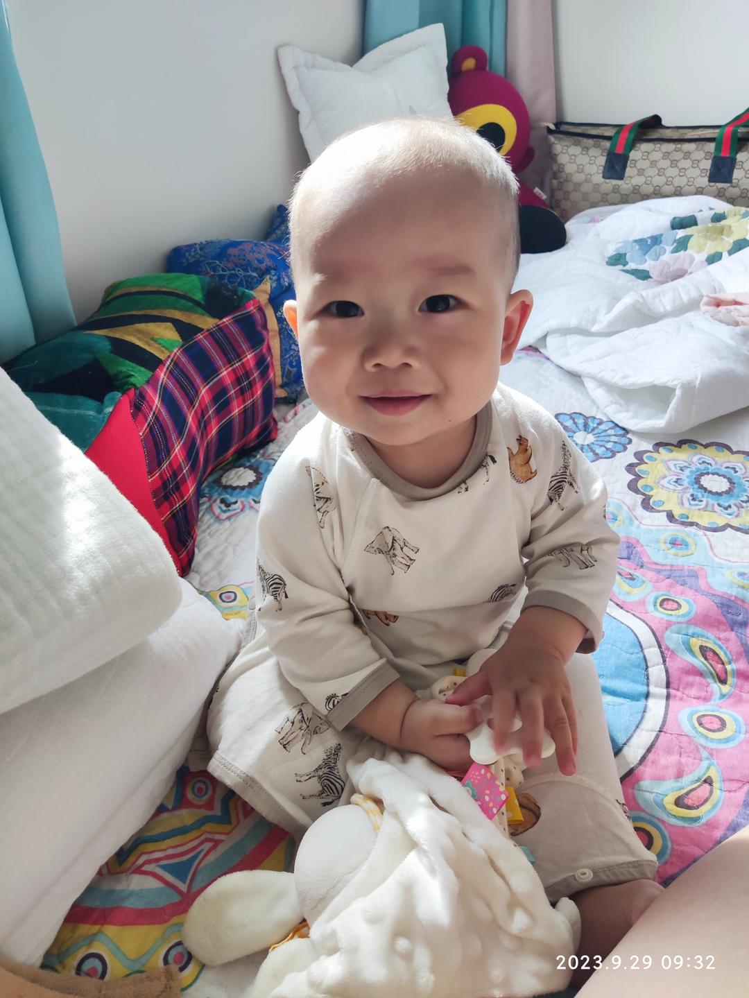 宝宝辅食｜全蛋膏-手残党教程