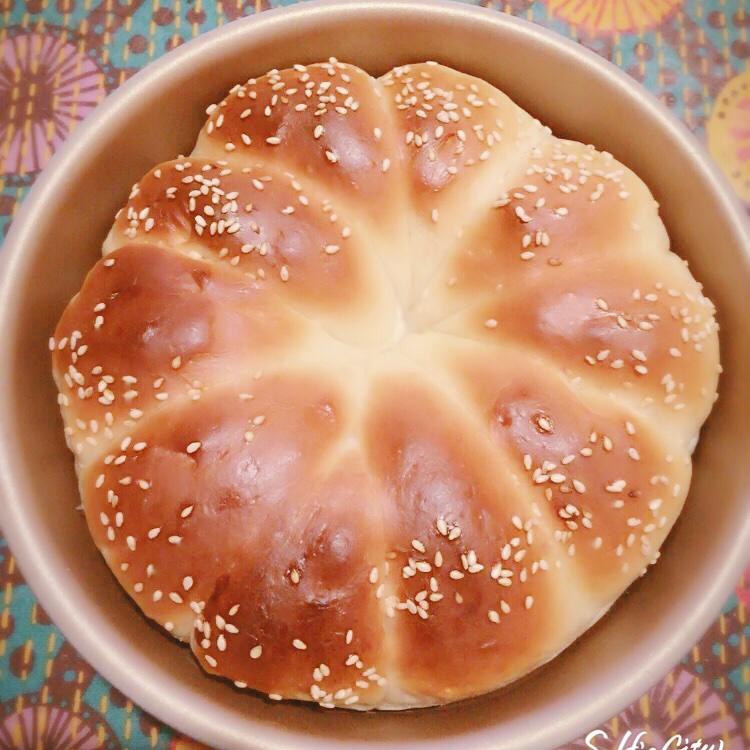 提拉米苏红