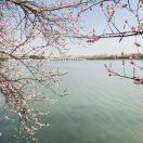 手机用户8290_mgvh