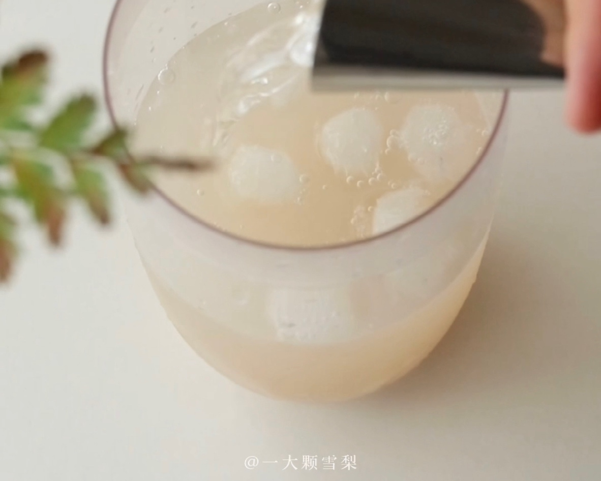 醉茉莉荔枝冰茶🍸夏日微醺，家庭调酒的做法 步骤3