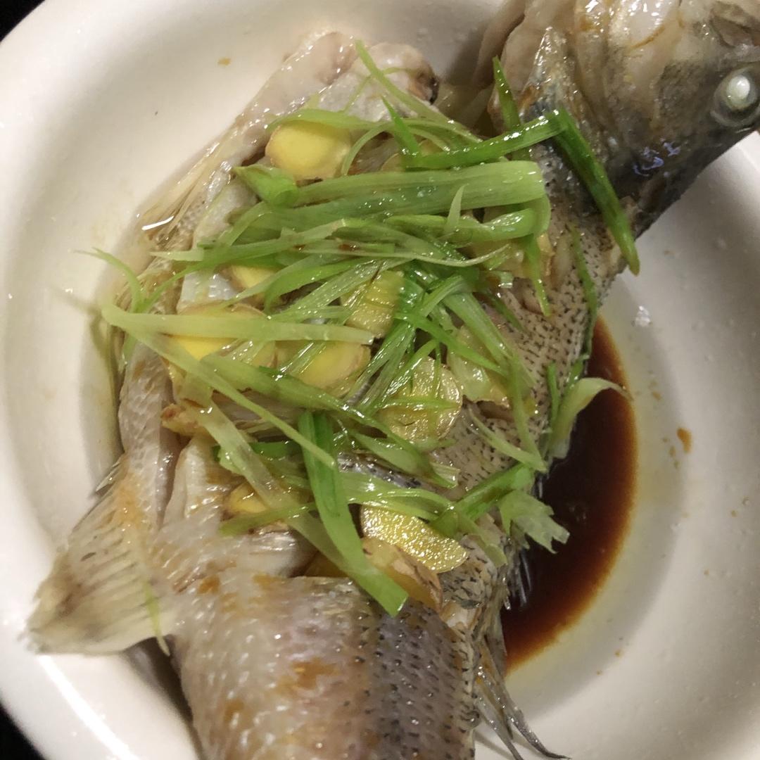清蒸鲈鱼