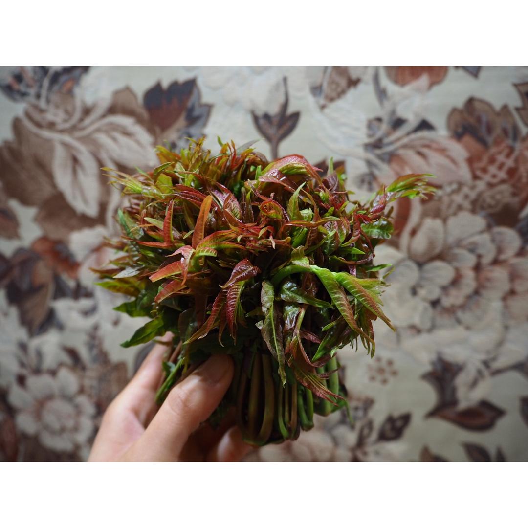 香椿芽炒饭