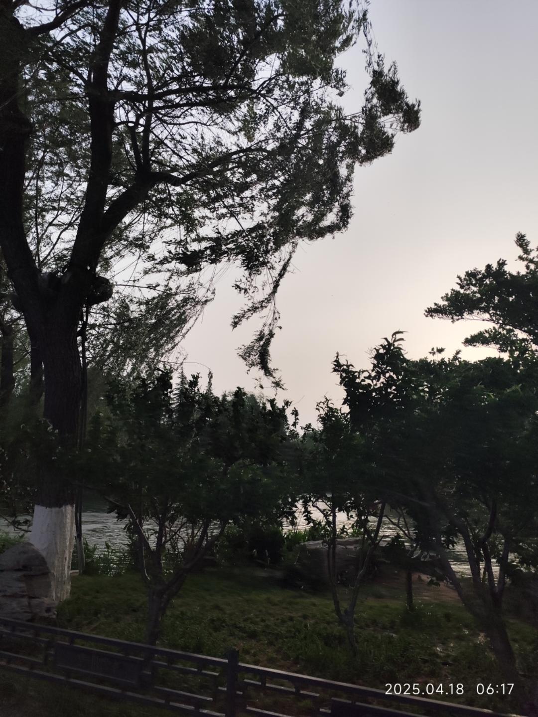 李书雅