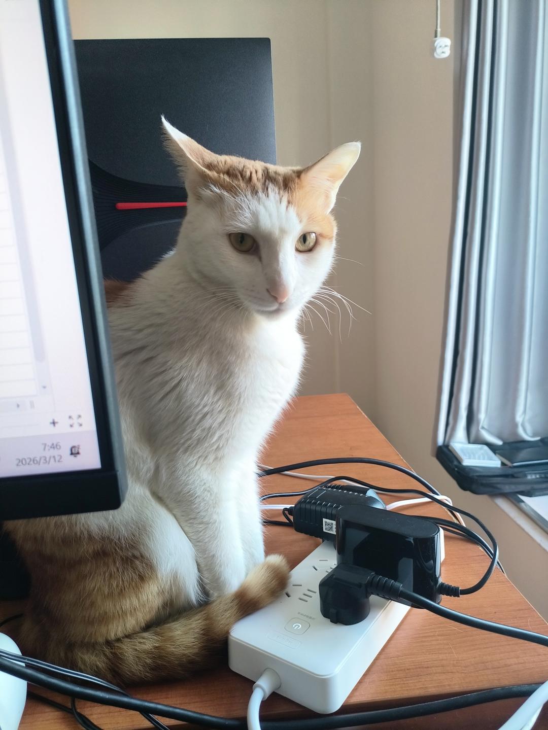 花生芝麻酱拌面