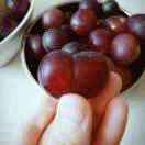 凯哥哥和腾仔仔