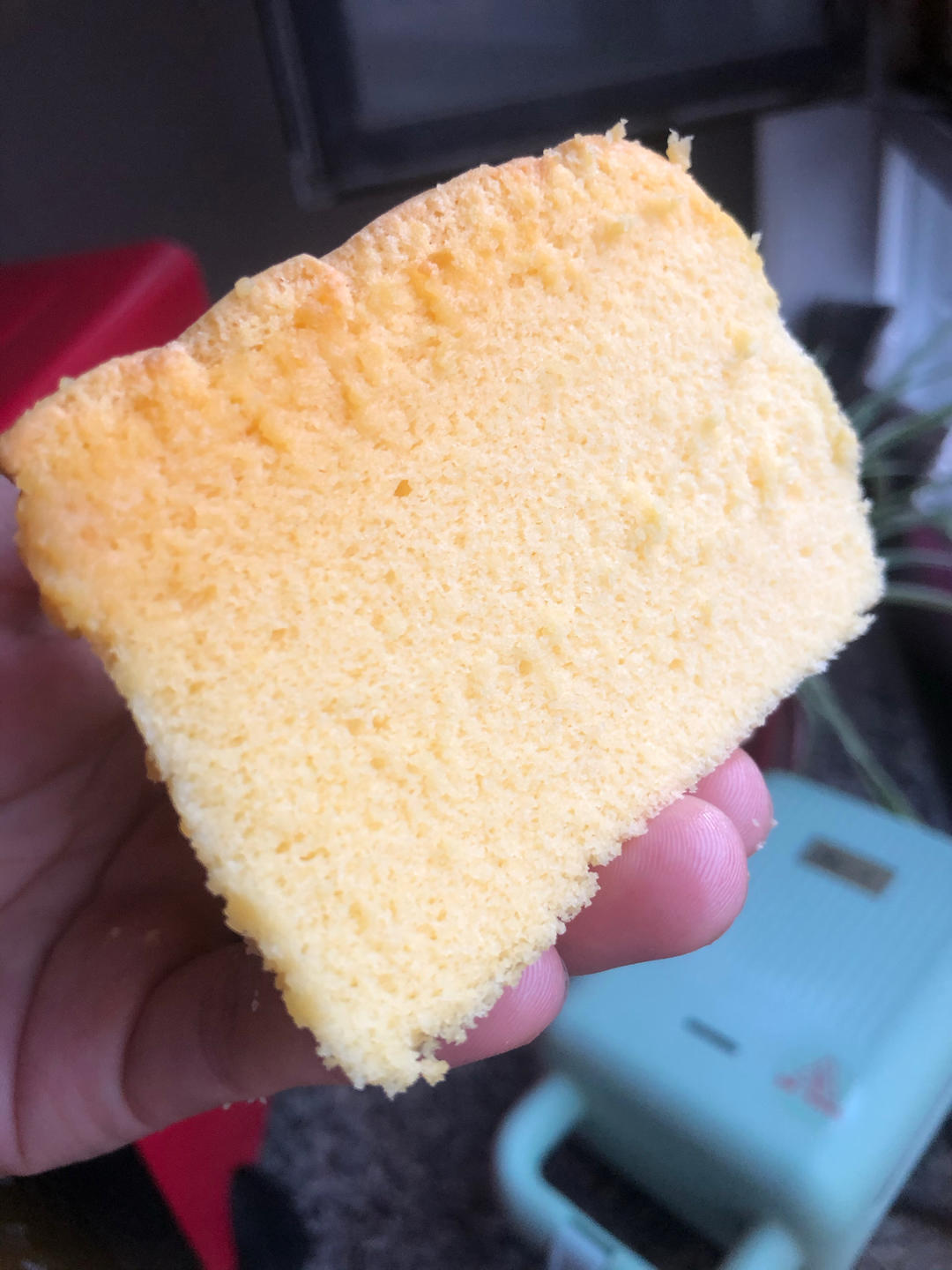 会抖臀的古早蛋糕                                            （4、6、8寸方子）