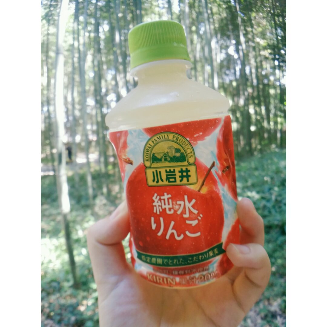 初食霓虹