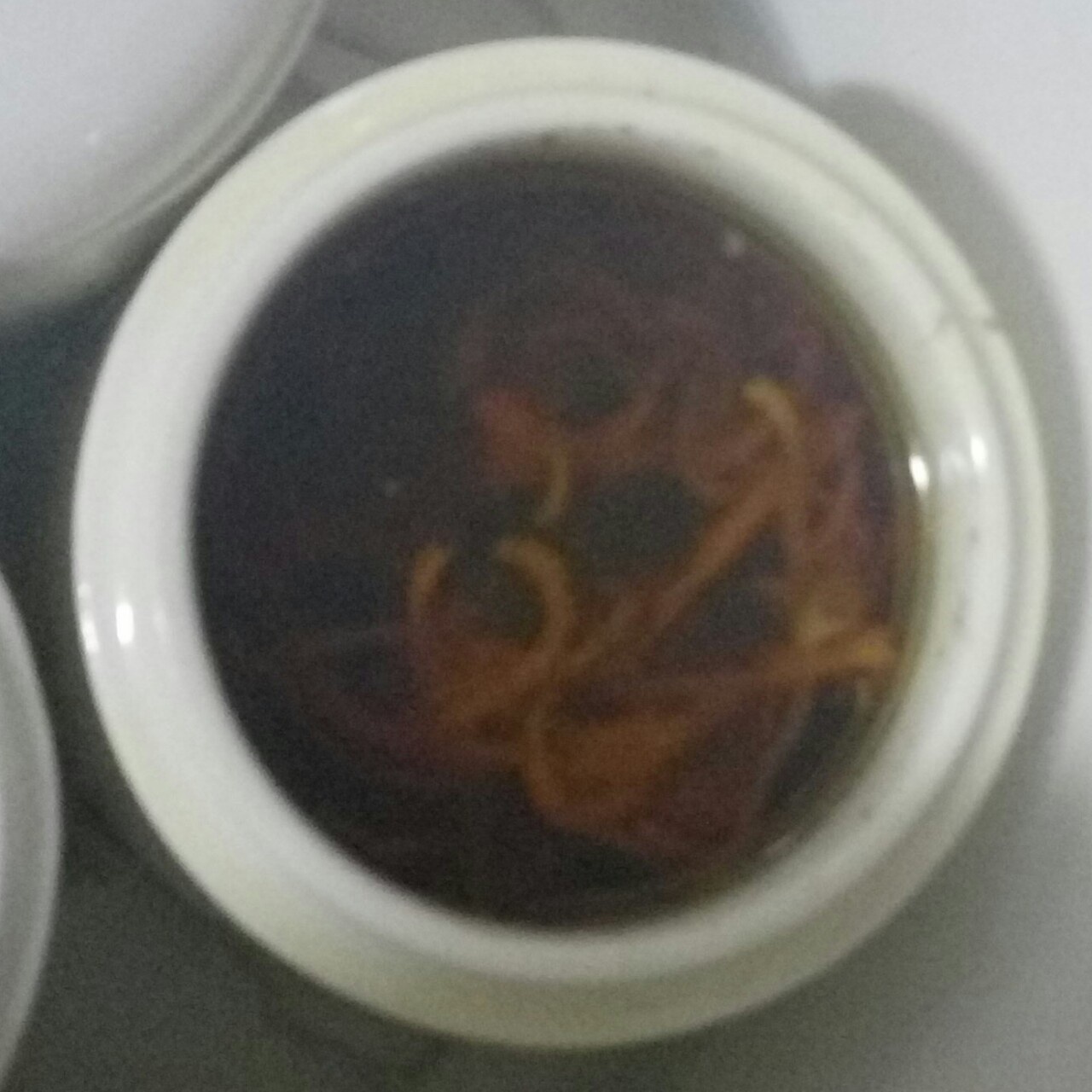 虫草花瘦肉汤