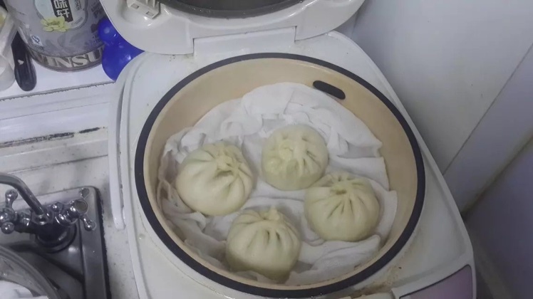 家常蒸包子（新手必学 超详 各式花卷馒头适用）