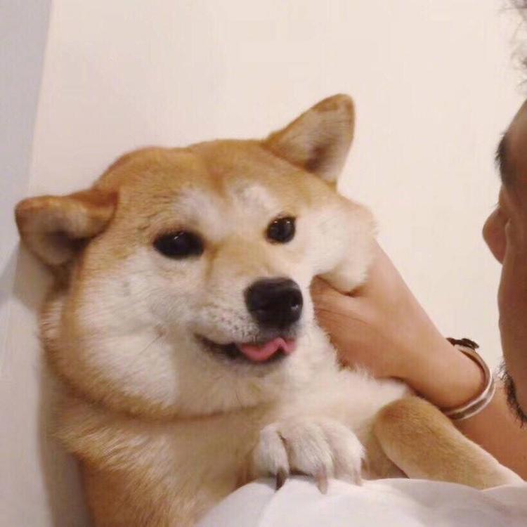 EcHo_你看起来很好吃