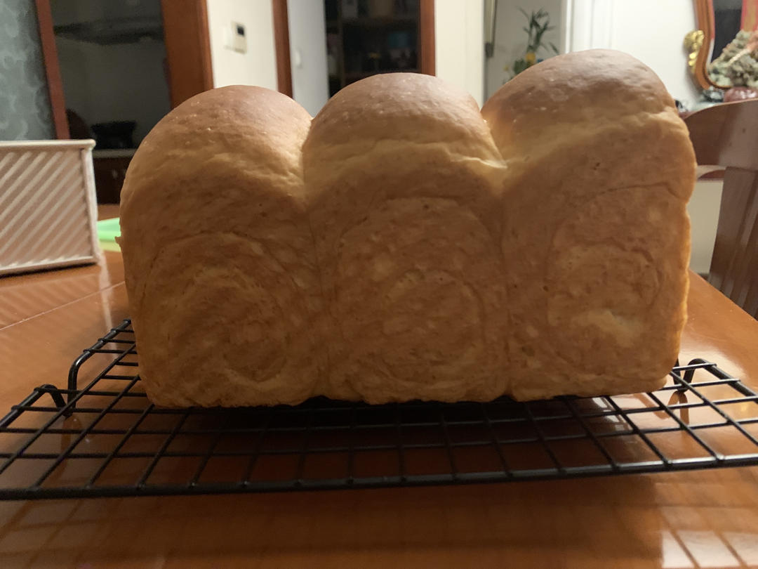 Poolish种（波兰种）吐司——不推荐不行的吐司配方