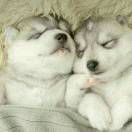 在最坏时候遇上最好的你