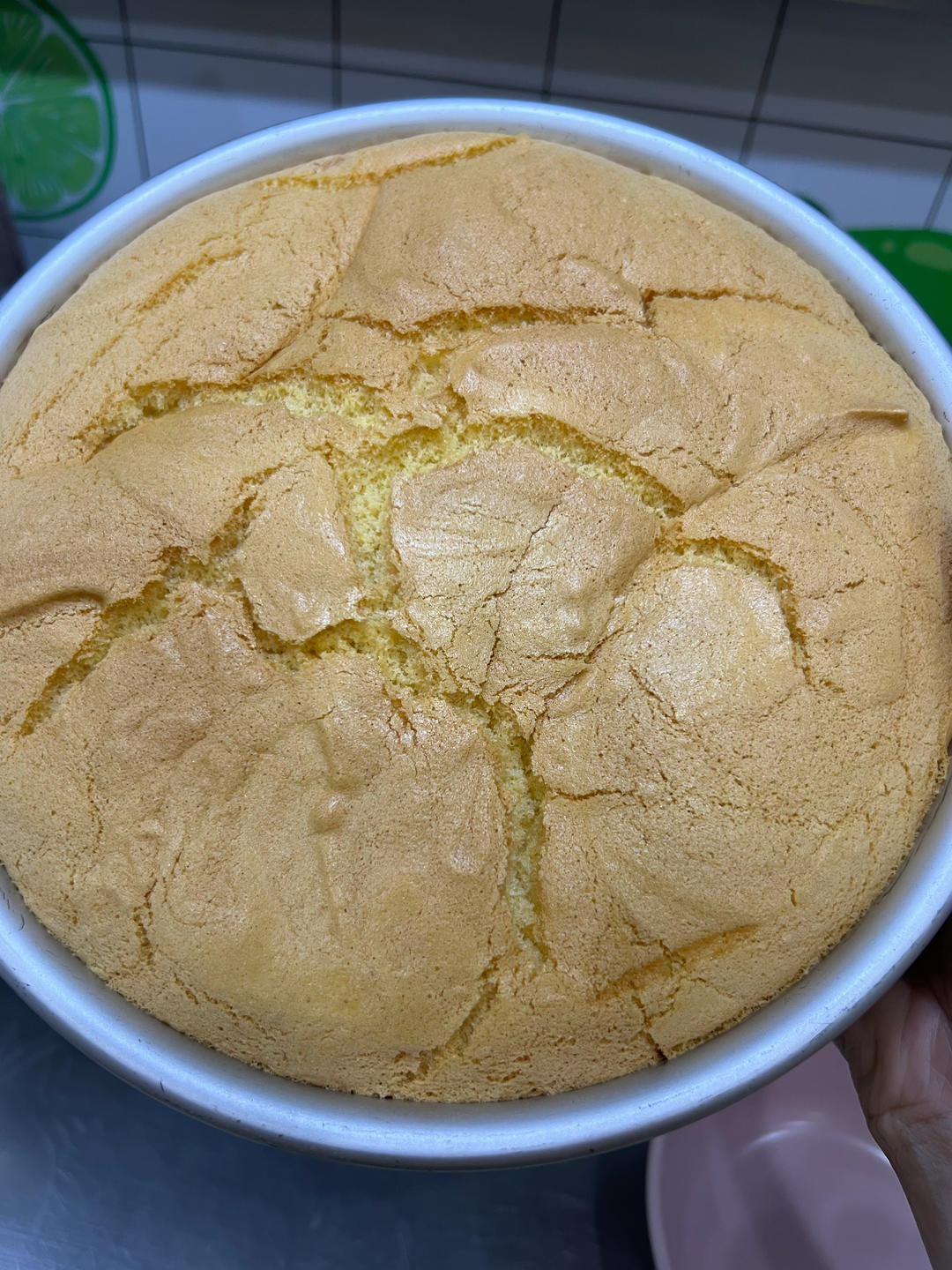 戚风蛋糕（八寸）