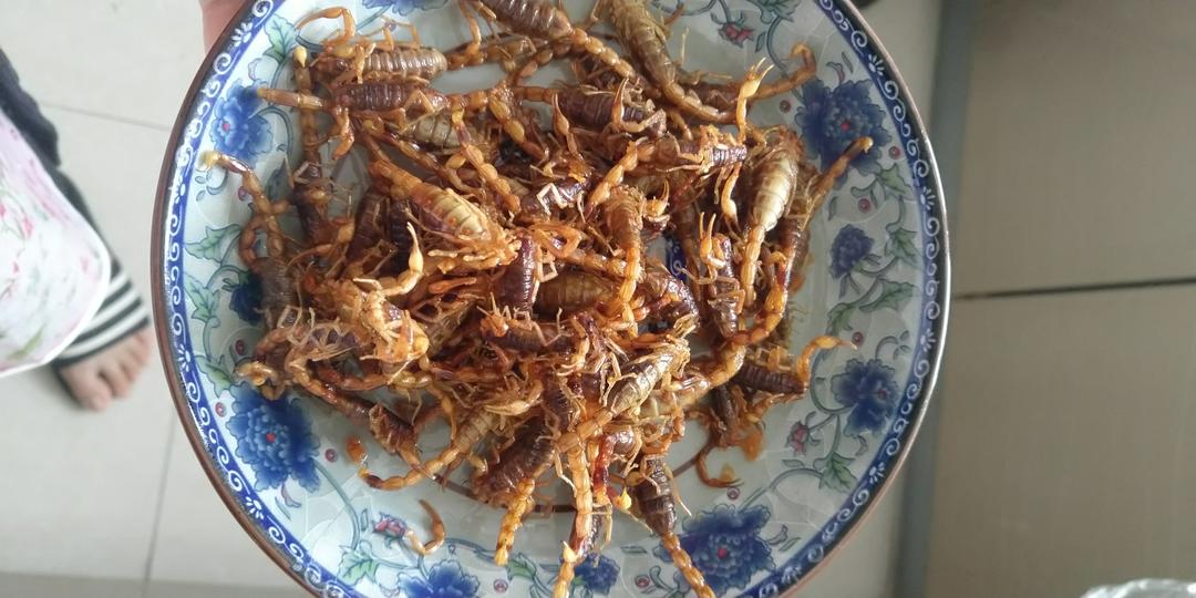 油炸蝎子