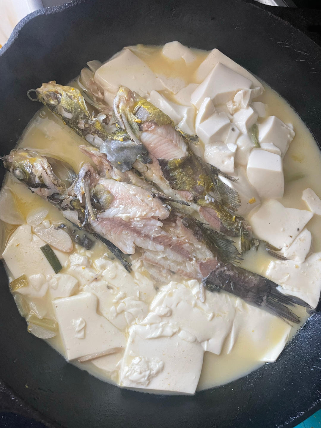 昂刺鱼炖豆腐