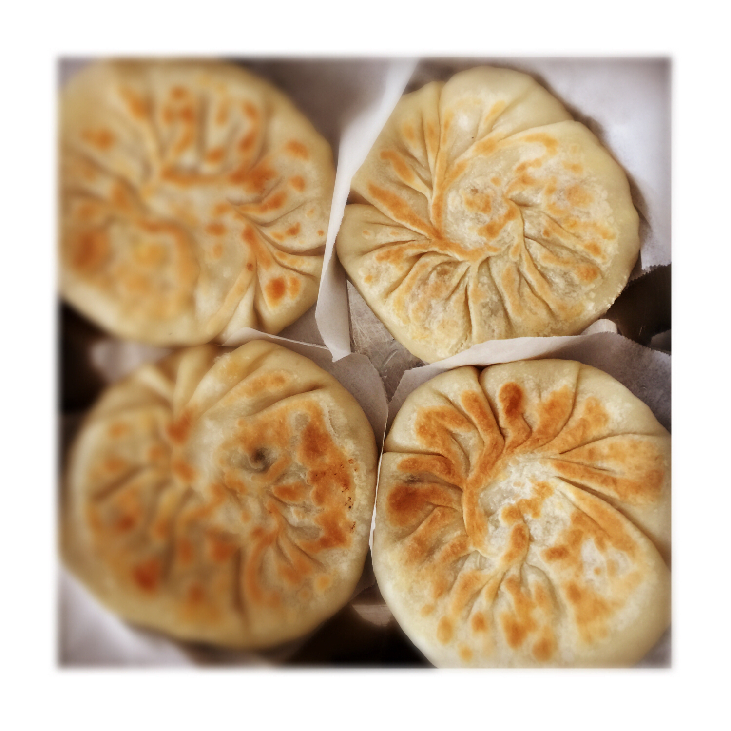 猪肉白菜馅饼