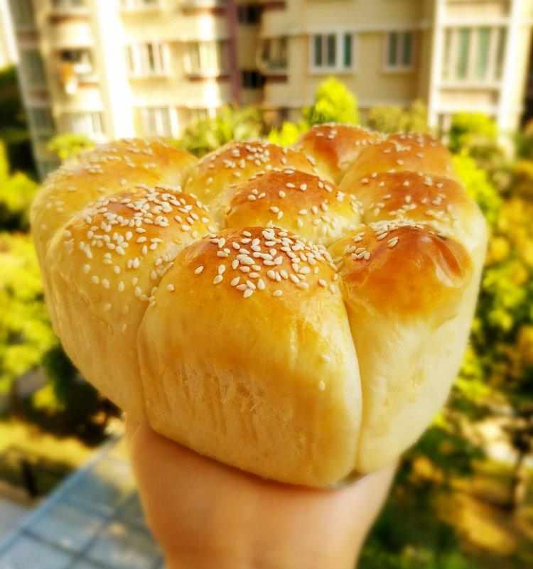 牛奶软面包（中种法）