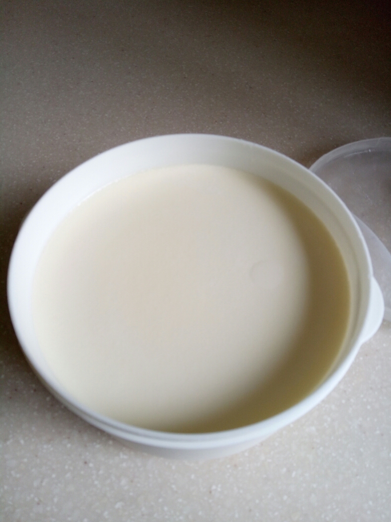 奶粉酸奶的做法 步骤3