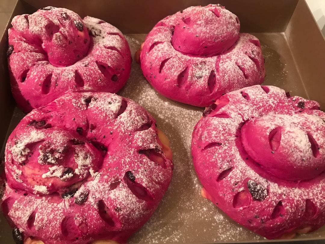 火龙果乳酪软欧