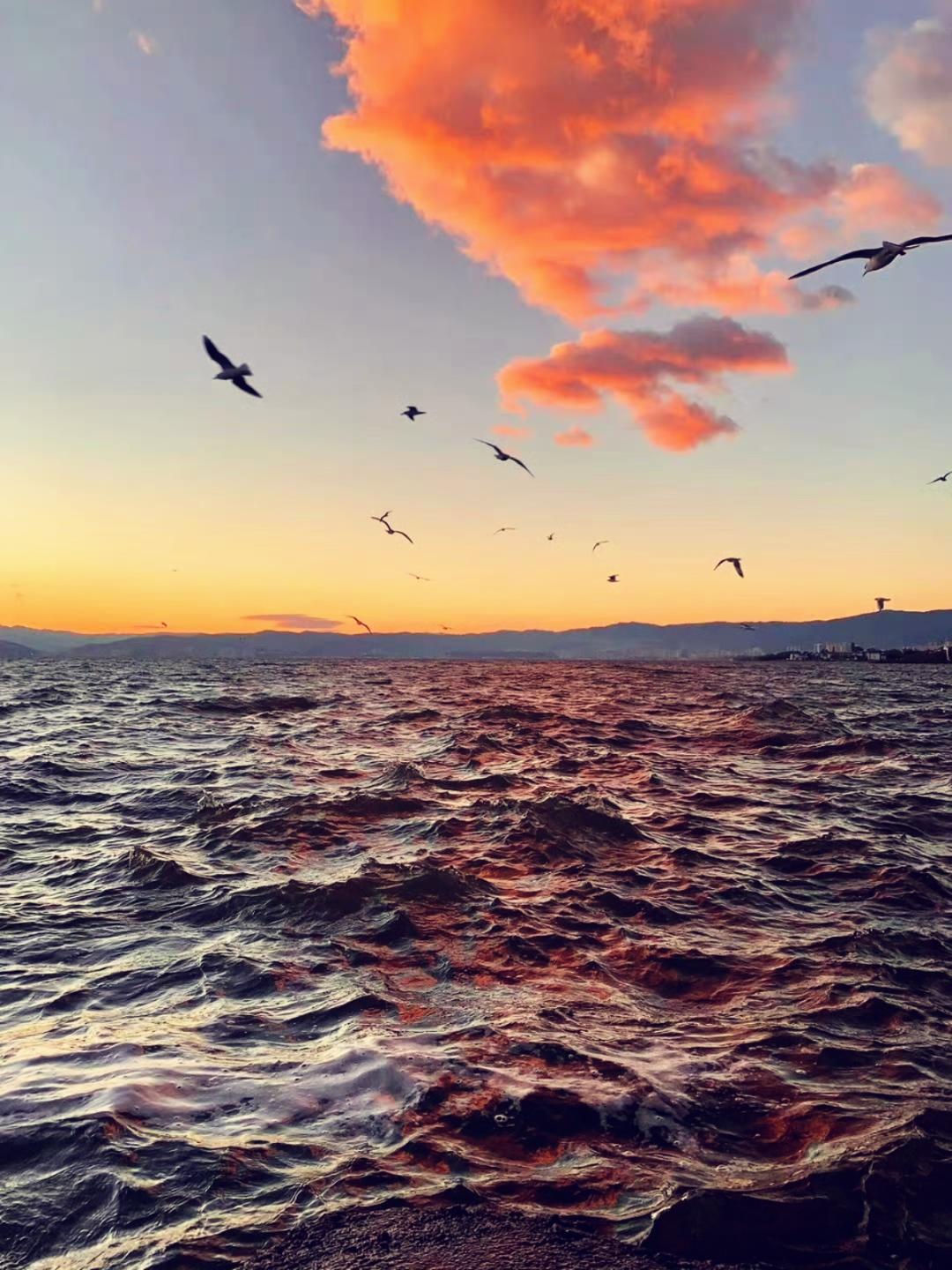 海的方向