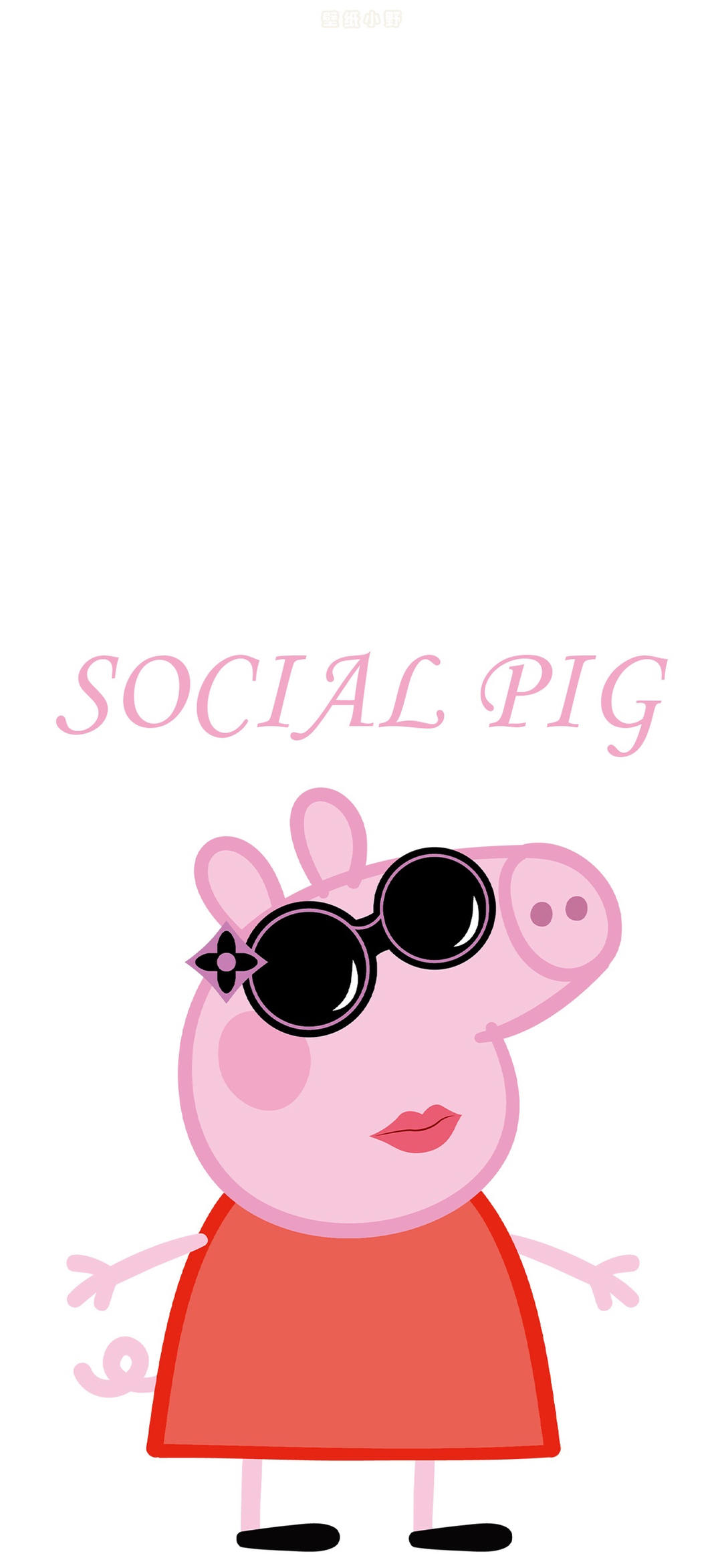 我小猪佩奇yyds