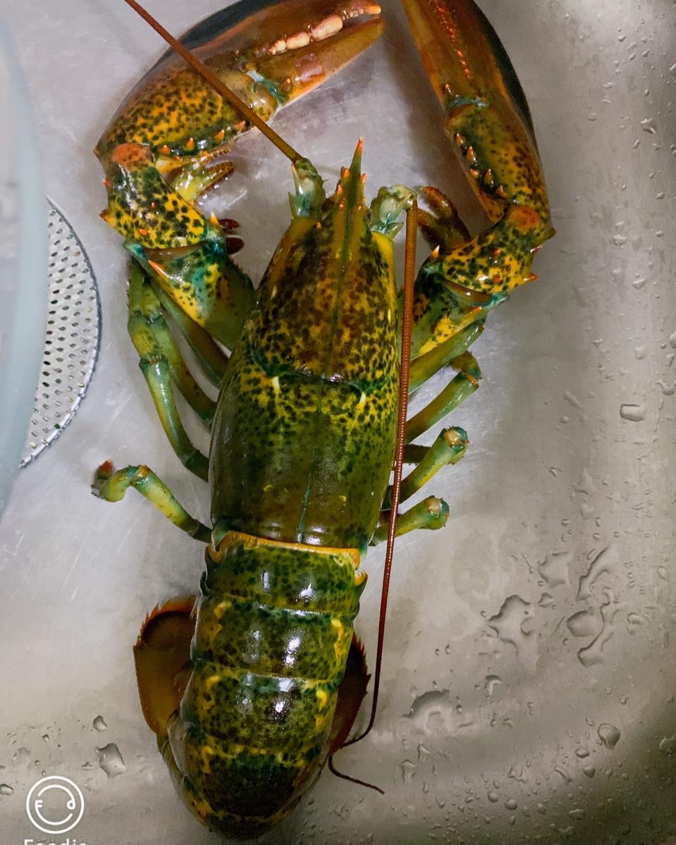 波士顿龙虾-一虾三吃